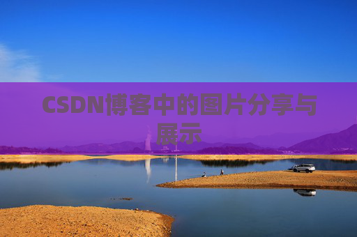 CSDN博客中的图片分享与展示